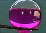 s-anmonia15.jpg