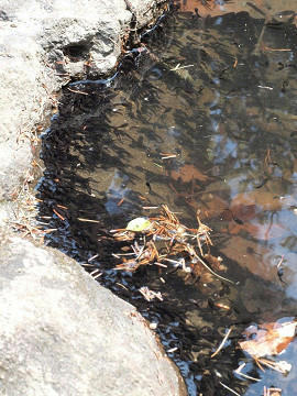 resize0299.jpg