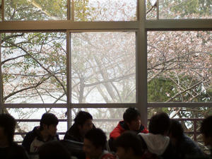 resize1744.jpg
