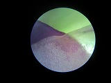 s-SN3J0331.jpg