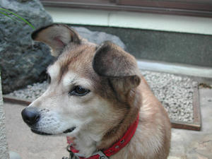 DSCN4312.JPG