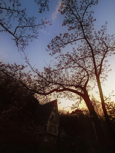 resize0364.jpg