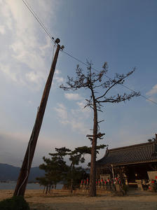 resize0386.jpg