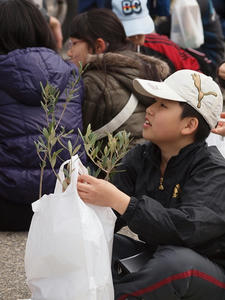resize0605_R.jpg