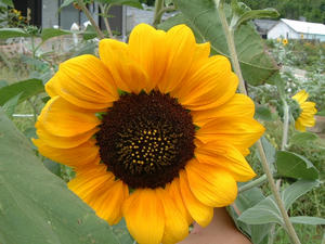 s-DSCF0004.jpg