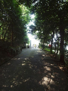 P8216164_R.JPG