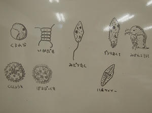 P8216374_R.JPG