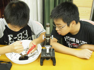 P8216339_R.JPG