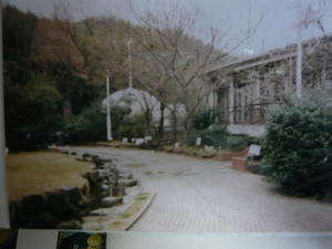f0336610.jpg