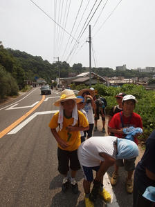 P8236971_R.JPG