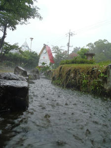 eb0112b3.JPG