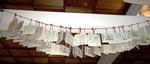 100_0036.JPG