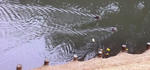 100_0054.JPG