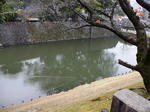 100_0055.JPG