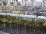 100_0065.JPG