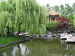 DSCN0532.JPG