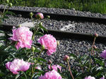DSCN0601.JPG