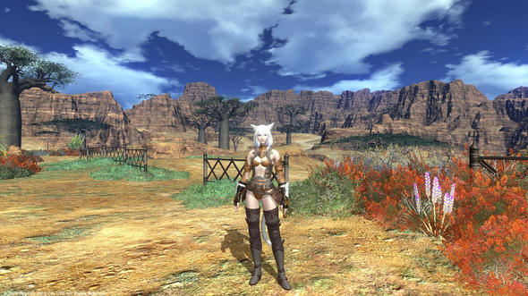 FFXIV_1289187338-1.jpg