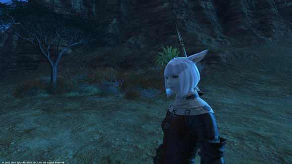 FFXIV_1301318911-1.jpg