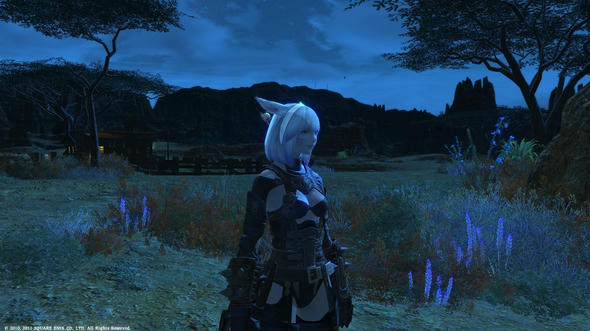 FFXIV_1315805041-1.jpg
