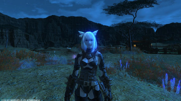 FFXIV_1315805061-1.jpg
