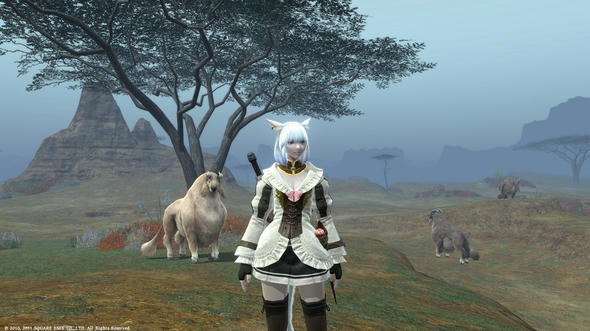 FFXIV_1317982959-1.jpg