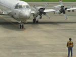 CIMG0869.jpg