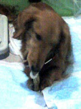 2008fae2jpeg