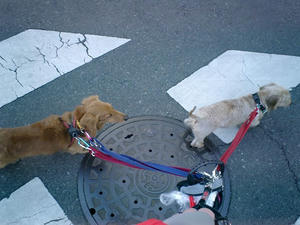 20080127b.JPG