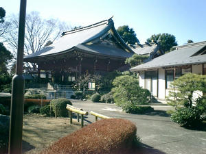 20080128d.jpg