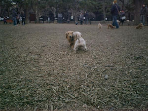 ba634d29jpeg