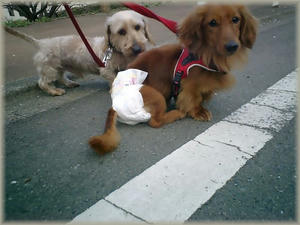 20080328.JPG