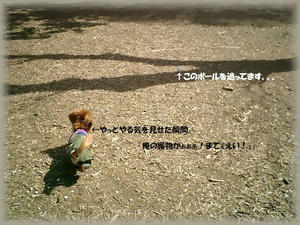 20080405.JPG
