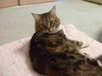 DSCF0441.JPG