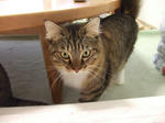 DSCF0442.JPG