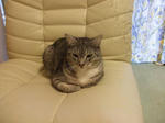 DSCF0445.JPG