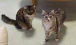 DSCF0447.JPG