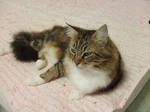DSCF0448.JPG