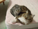 DSCF0450.JPG