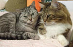 DSCF0451.JPG