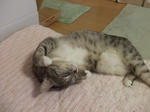 DSCF0452.JPG