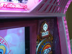 DSC00309.JPG