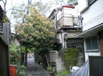 16a67d25jpeg
