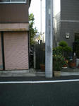 97cd738ejpeg