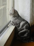 DSC00135.jpg