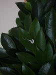 DSC00129.jpg