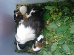 20070711141620.jpg