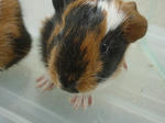 DSC00176.jpg