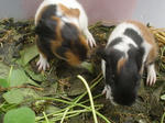 DSC00179.jpg