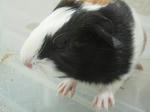 DSC00175.jpg